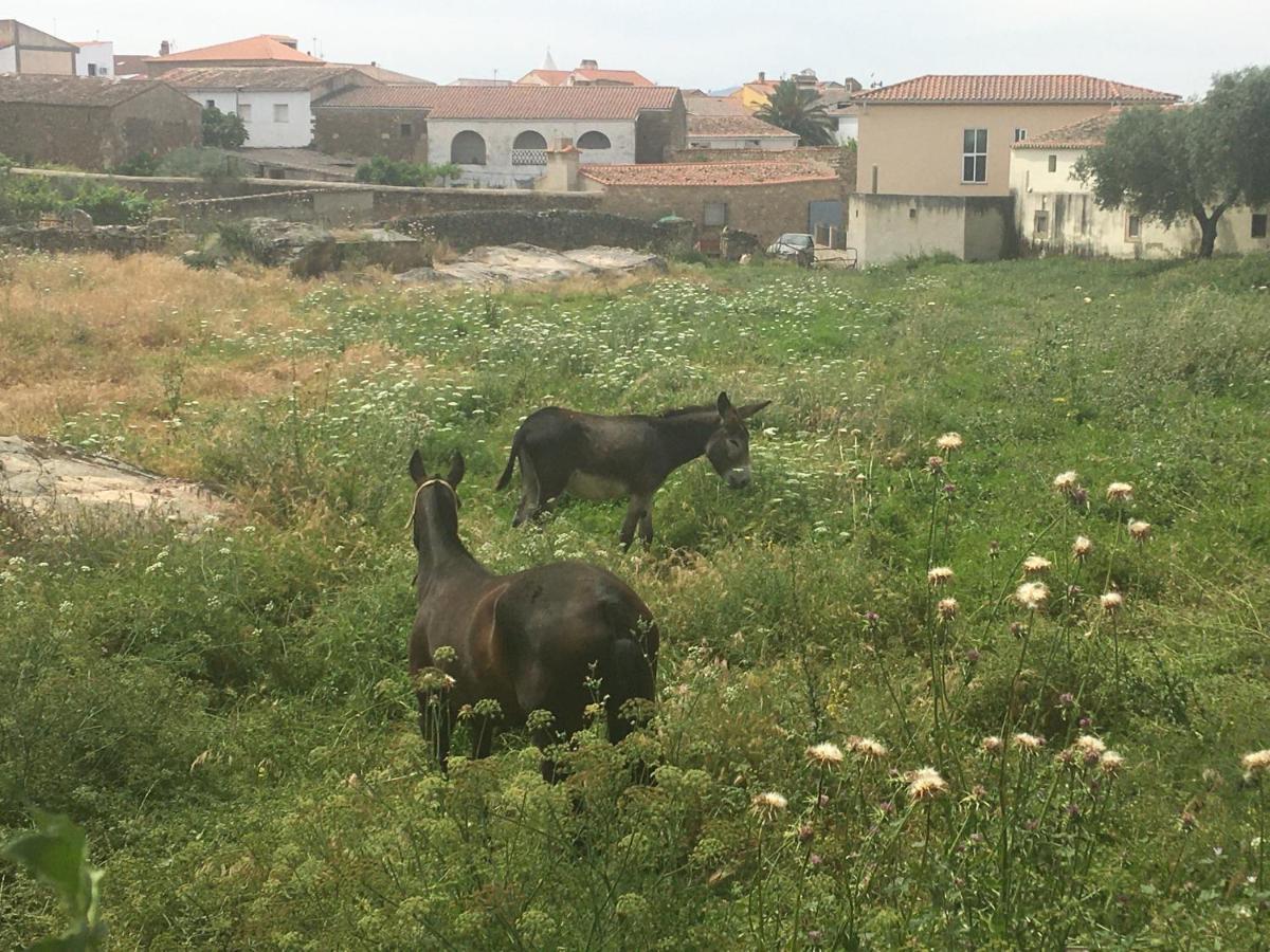 Casa - Apartamento Rural La Tahona Del Abuelo Plasenzuela Ngoại thất bức ảnh