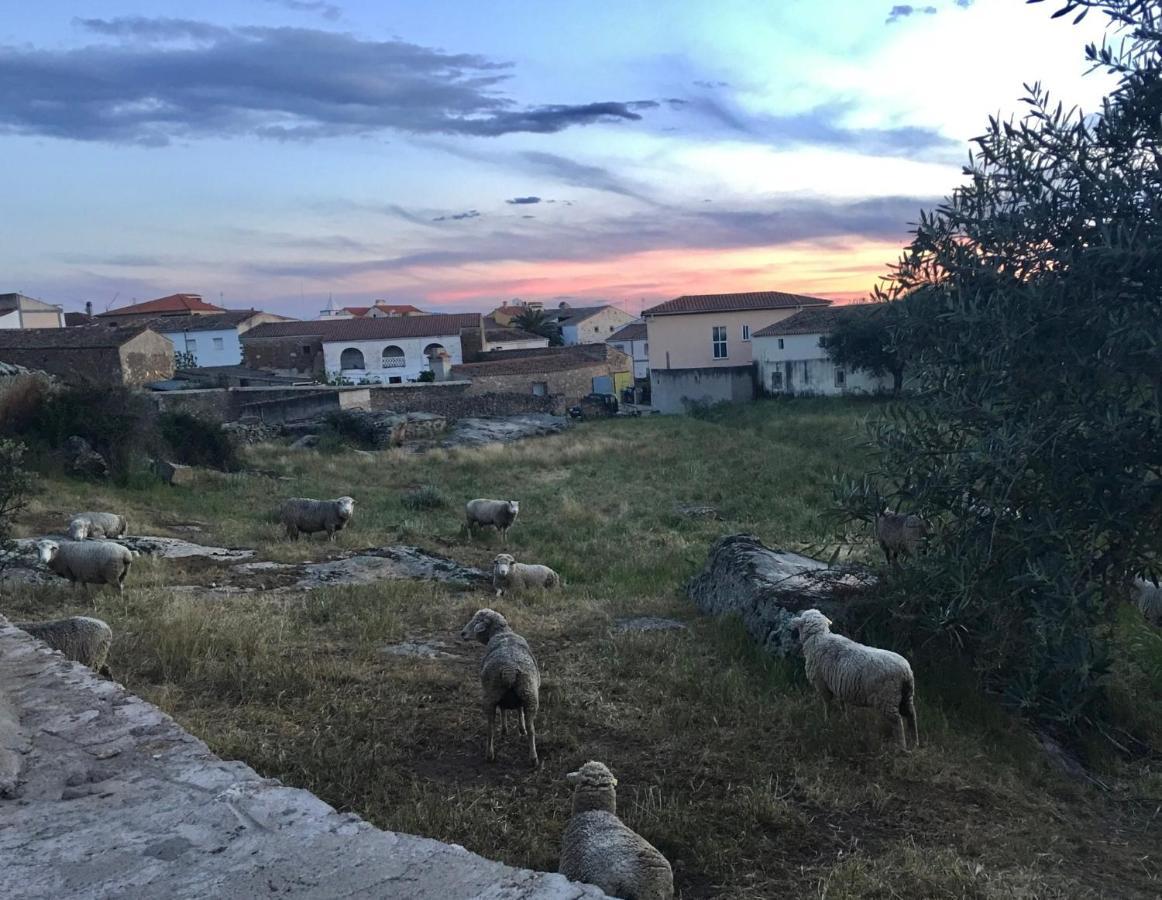 Casa - Apartamento Rural La Tahona Del Abuelo Plasenzuela Ngoại thất bức ảnh
